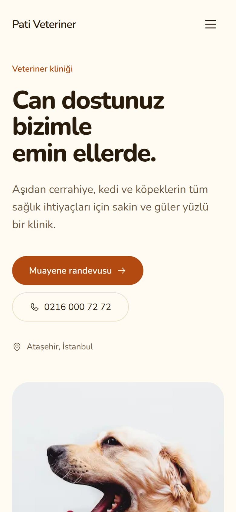 Veteriner Kliniği tasarımının telefon görünümü